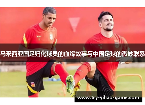 马来西亚国足归化球员的血缘故事与中国足球的微妙联系