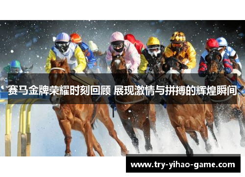 赛马金牌荣耀时刻回顾 展现激情与拼搏的辉煌瞬间