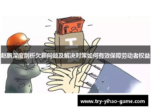 赵鹏深度剖析欠薪问题及解决对策如何有效保障劳动者权益