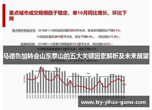 马德鲁加转会山东泰山的五大关键因素解析及未来展望